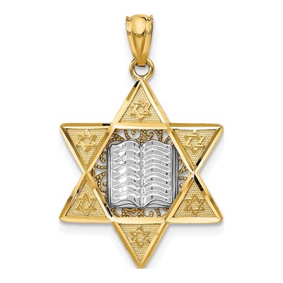 14K Two-Tone Gold Star of David Torah Pendant