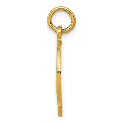 14K Yellow Gold Horseshoe Good Luck Charm – view 3