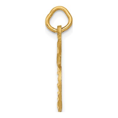14K Yellow Gold Diamond-Cut Apple Charm – view 3