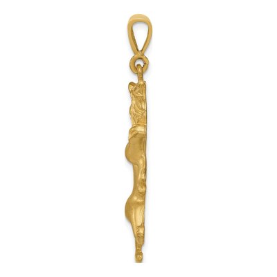 14K Yellow Gold Leo Zodiac Pendant – view 3