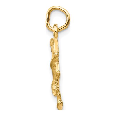 14K Yellow Gold Leo Zodiac Pendant – view 3