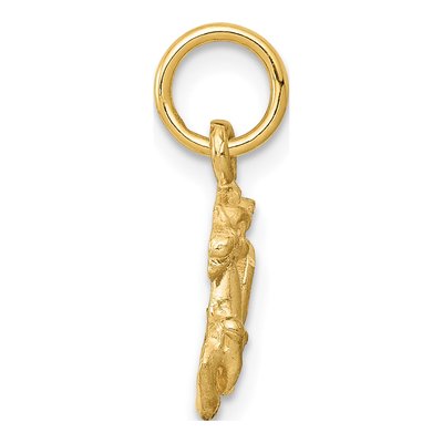 14K Yellow Gold Capricorn Zodiac Charm – view 3