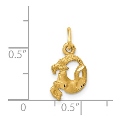 14K Yellow Gold Capricorn Zodiac Charm – view 4