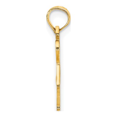 14K Yellow Gold I Heart NC Pendant – view 3