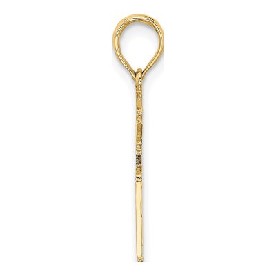 14K Yellow Gold RN Nurse Pendant – view 3