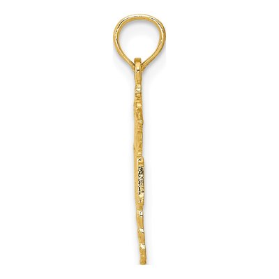 14K Yellow Gold R.N Registered Nurse Pendant – view 3