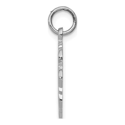 14K White Gold RN Nurse Disc Pendant – view 3
