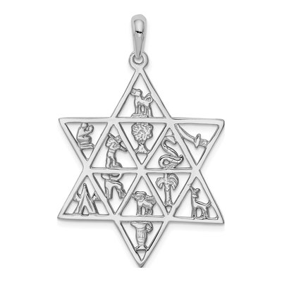 14K White Gold Tribes Star of David Pendant