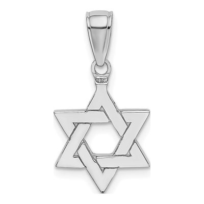 14K White Gold Star of David Pendant – view 4