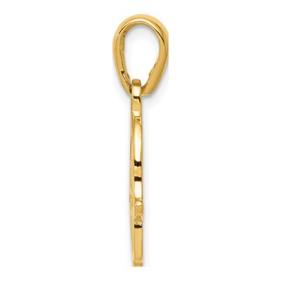 14K Yellow Gold Star of David Hamsa Pendant – view 3