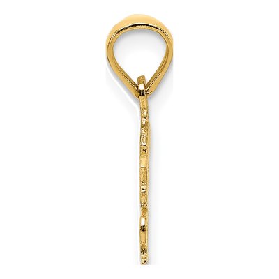 14K Yellow Gold Born to Shop Pendant – view 3
