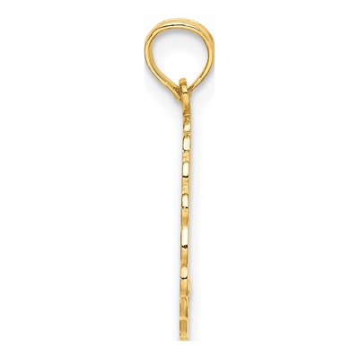 14K Yellow Gold NANA of YEAR Pendant – view 3
