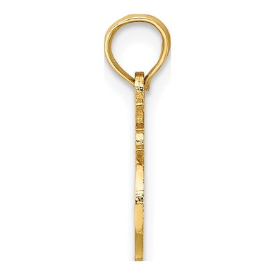 14K Yellow Gold Leo Zodiac Pendant – view 3