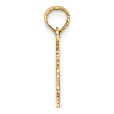 14K Yellow Gold Capricorn Zodiac Pendant – view 3