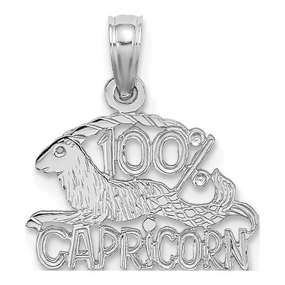 14K White Gold Capricorn Zodiac Pendant