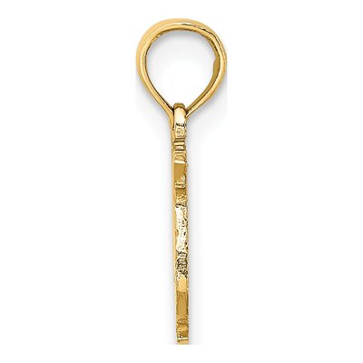 14K Yellow Gold Pisces Zodiac Pendant – view 3