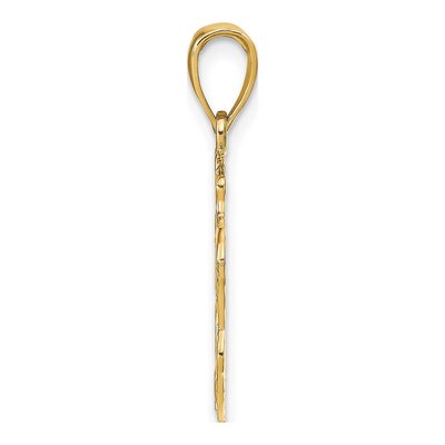 14K Yellow Gold Lion Head Pendant – view 3