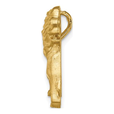 14K Yellow Gold Diamond-Cut Lion Slide Pendant – view 3