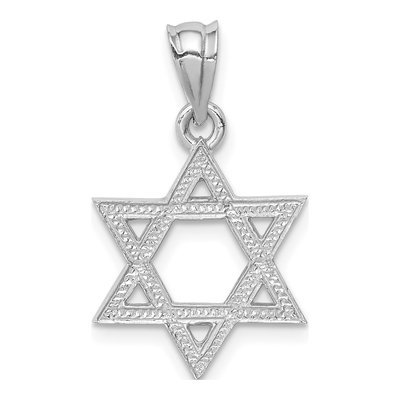 14K White Gold Star of David Pendant – view 5