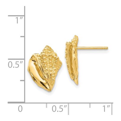 14K Yellow Gold Conch Shell Stud Earrings – view 5
