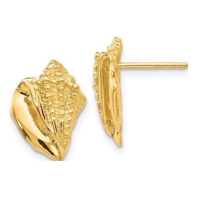 14K Yellow Gold Conch Shell Stud Earrings
