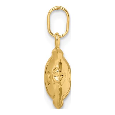 14K Yellow Gold 3-D Fish for Girls Pendant – view 3