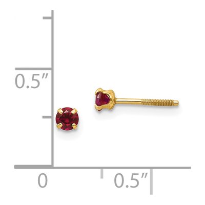 14K Yellow Gold January Birthstone Screwback Stud Earrings – view 4