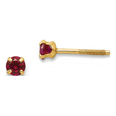 14K Yellow Gold January Birthstone Screwback Stud Earrings