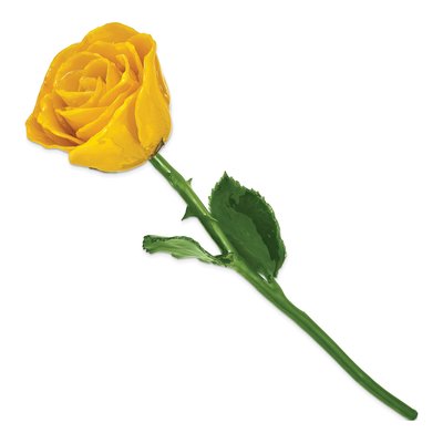 Yellow Lacquer-Dipped Natural Rose Gift – view 2