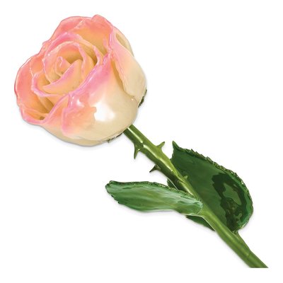 White & Pink Lacquered Natural Rose with Stem