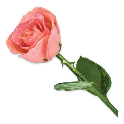 Pink Lacquer-Dipped Natural Rose Keepsake Gift