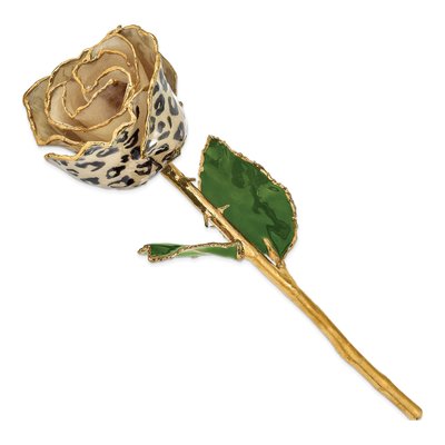Cream/Black Leopard Real Rose with 24k Gold Trim – view 2