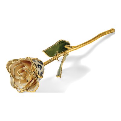 Cream/Black Leopard Real Rose with 24k Gold Trim – view 5