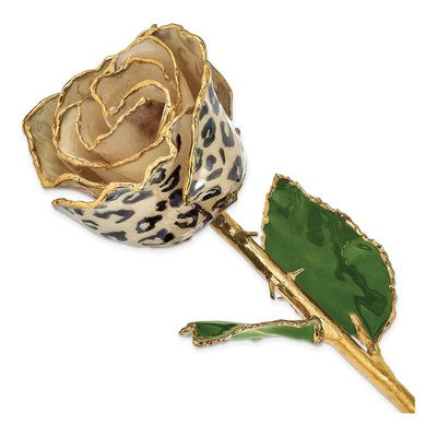Cream/Black Leopard Real Rose with 24k Gold Trim