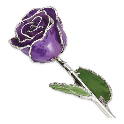 Lilac Lacquer-Dipped Real Rose with Silver Trim