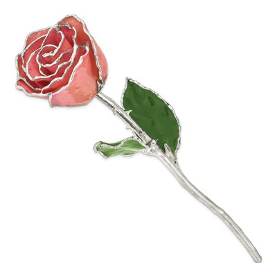 Pink Lacquer Dipped Real Rose – view 2