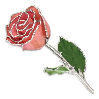 Pink Lacquer Dipped Real Rose