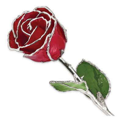 Red Lacquer-Dipped Real Rose w/ Silver Trim