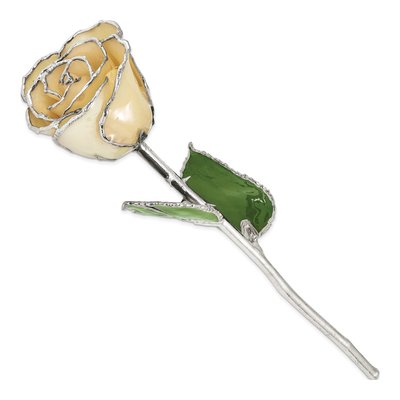 White Lacquer Dipped Silver-Trimmed Real Rose Gift – view 2