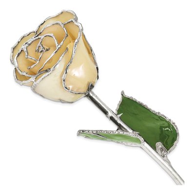 White Lacquer Dipped Silver-Trimmed Real Rose Gift