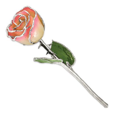 White/Pink Lacquer-Dipped Real Rose with Silver Trim – view 2