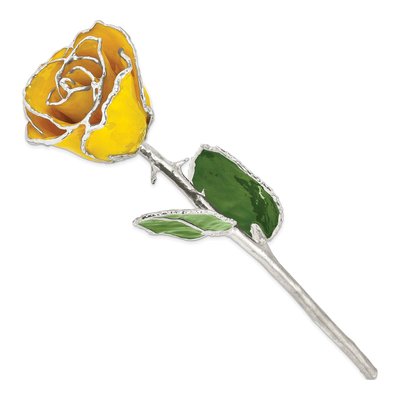 Yellow Lacquered Real Rose with Silver Trim – view 2