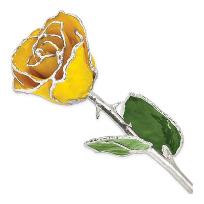 Yellow Lacquered Real Rose with Silver Trim