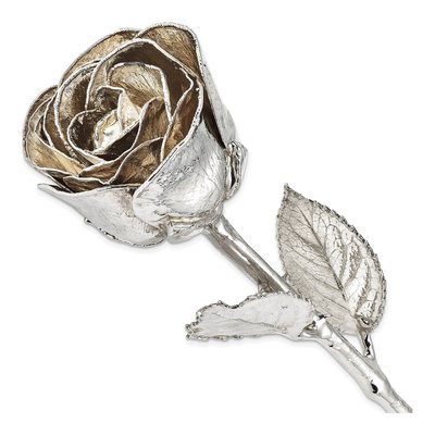 Silver-Dipped Real Rose Gift