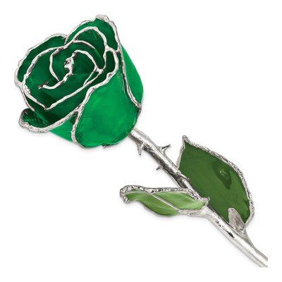 Green Lacquer-Dipped Real Rose with Silver Trim