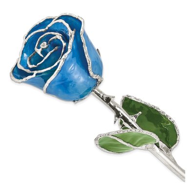 Blue Lacquer Dipped Real Rose with Silver Trim