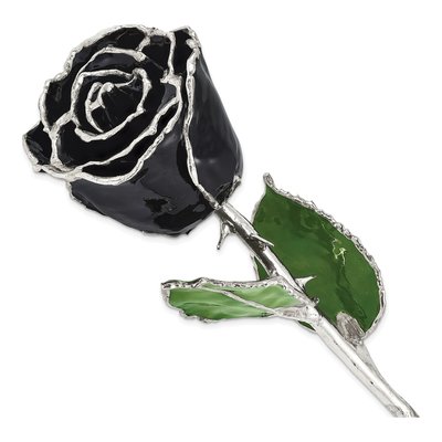 Black Lacquer Dipped Real Rose