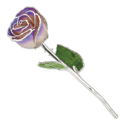 Silver-Trimmed Real Rose – view 2
