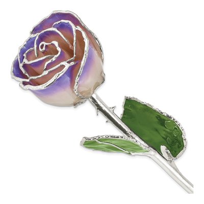 Silver-Trimmed Real Rose