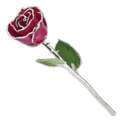 Burgundy Lacquer Dipped Real Rose with Silver Trim – view 2